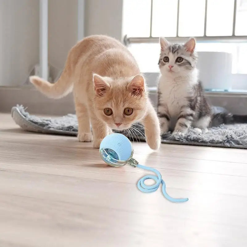 Interactive LED Pet Ball Toy – Rechargeable Light-Up Fun for Dogs & Cats