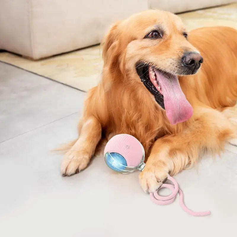 Interactive LED Pet Ball Toy – Rechargeable Light-Up Fun for Dogs & Cats