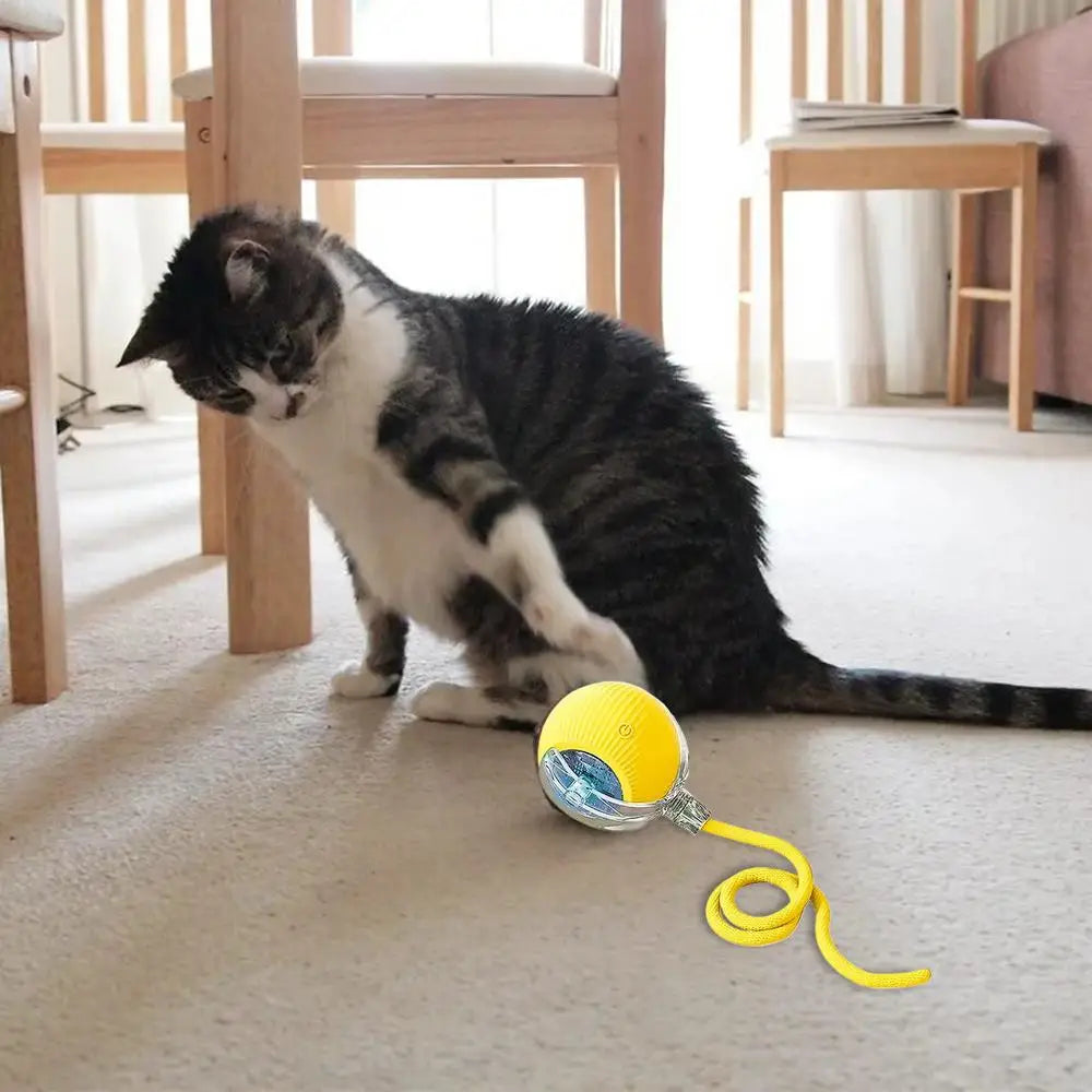 Interactive LED Pet Ball Toy – Rechargeable Light-Up Fun for Dogs & Cats