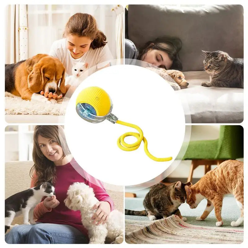 Interactive LED Pet Ball Toy – Rechargeable Light-Up Fun for Dogs & Cats