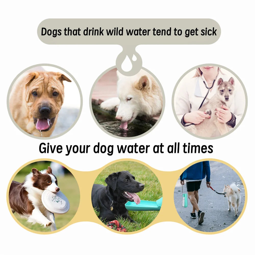 Portable Dog Water Bottle with Foldable Drinking Bowl – Leakproof Travel Dispenser for Small & Large Dogs