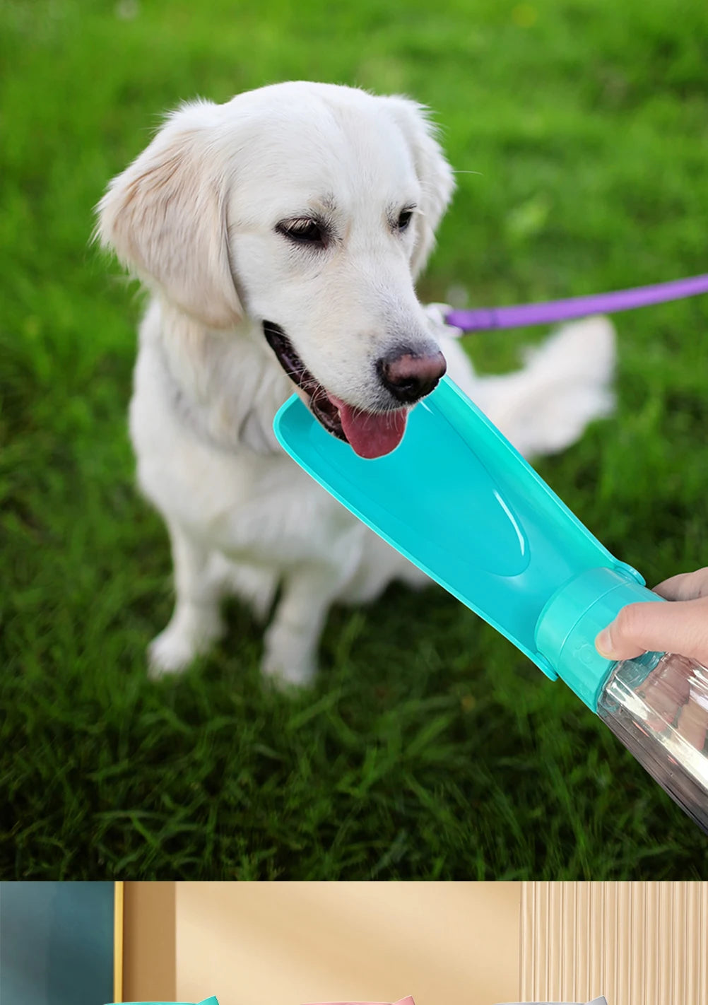 Portable Dog Water Bottle with Foldable Drinking Bowl – Leakproof Travel Dispenser for Small & Large Dogs