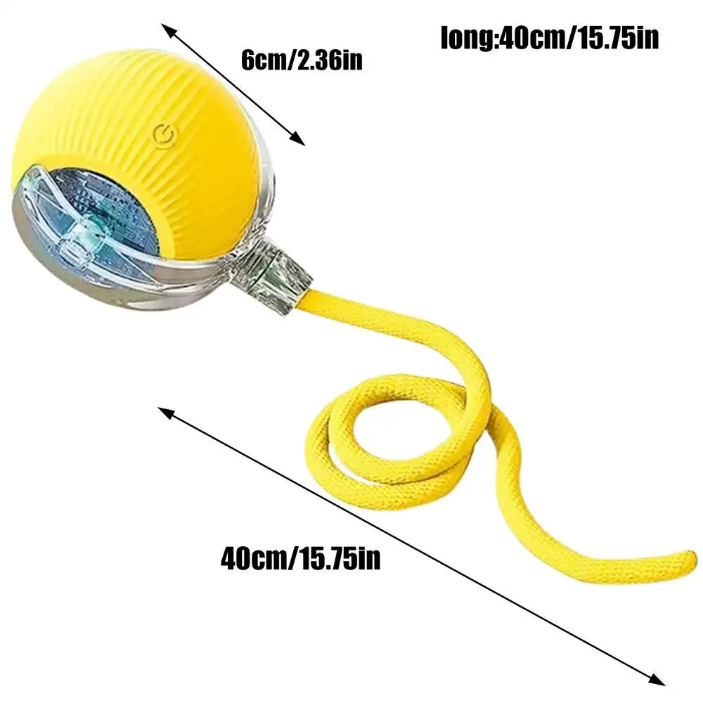 Interactive LED Pet Ball Toy – Rechargeable Light-Up Fun for Dogs & Cats