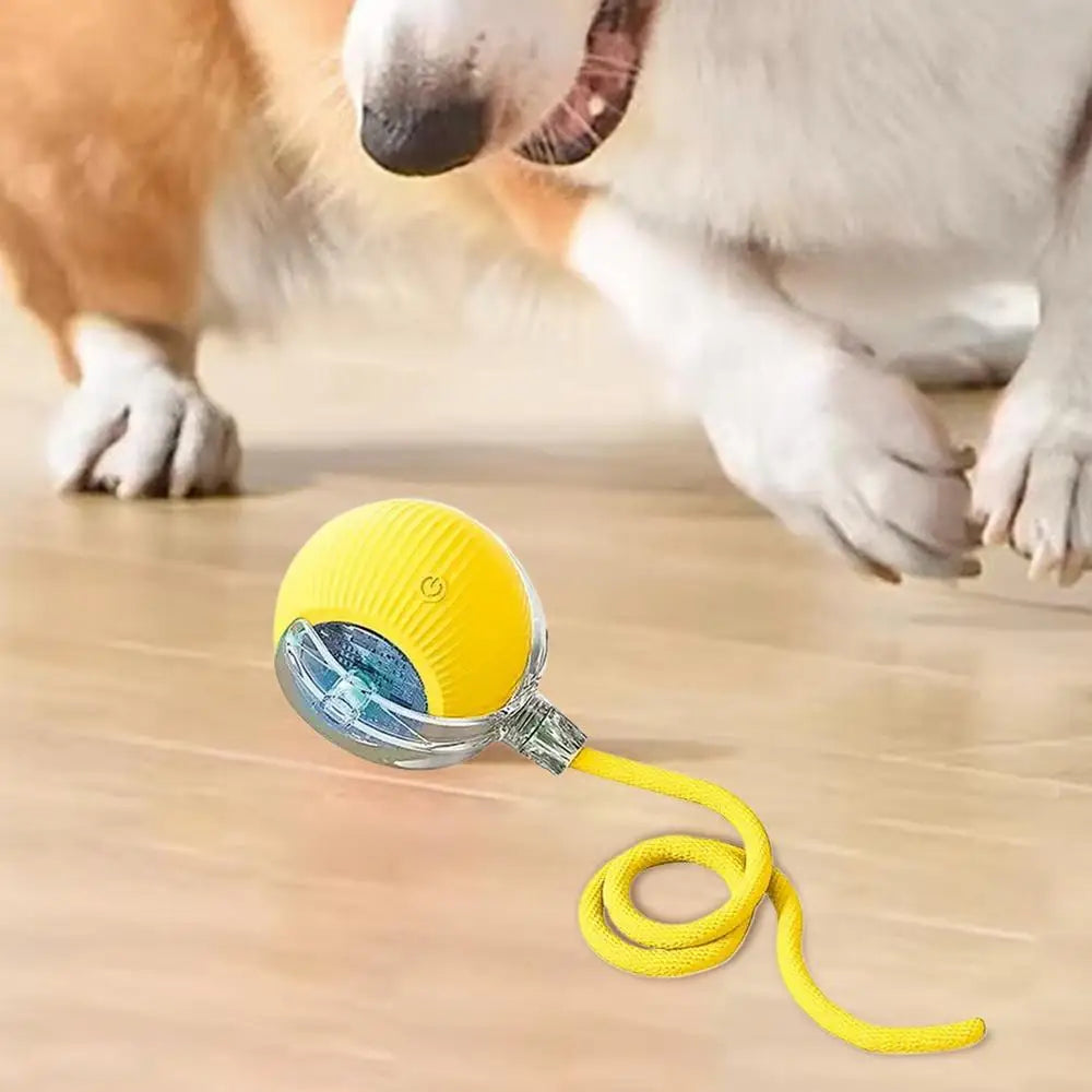 Interactive LED Pet Ball Toy – Rechargeable Light-Up Fun for Dogs & Cats