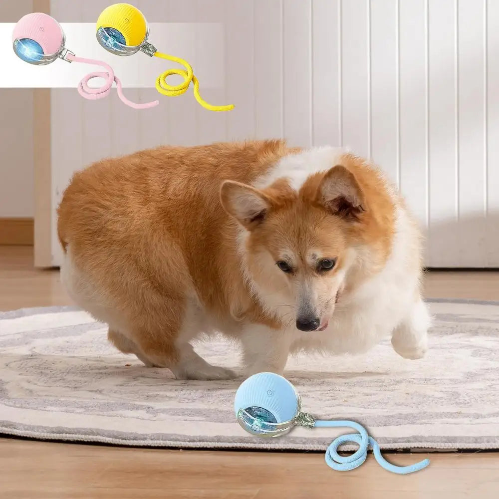 Interactive LED Pet Ball Toy – Rechargeable Light-Up Fun for Dogs & Cats